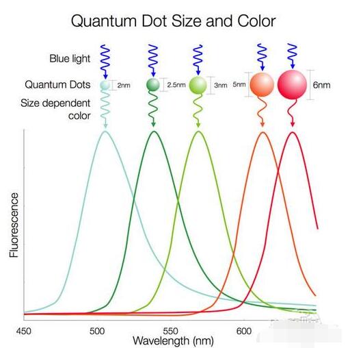 淺談LCD/量子點(diǎn)/OLED三種液晶技術(shù)對(duì)比誰(shuí)更牛